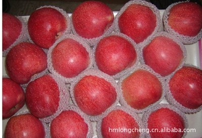 供應(yīng)嘎啦蘋果 品質(zhì)優(yōu)良，產(chǎn)地直供