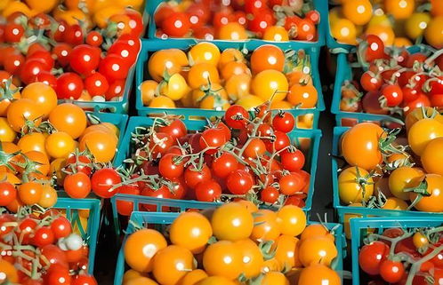 村村通冷鏈 構建土特產產銷一體化生態集群，激活產業鏈新動能