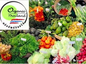 阿披拉迪 推動有機農(nóng)產(chǎn)品走出國門，讓泰國土特產(chǎn)香飄世界