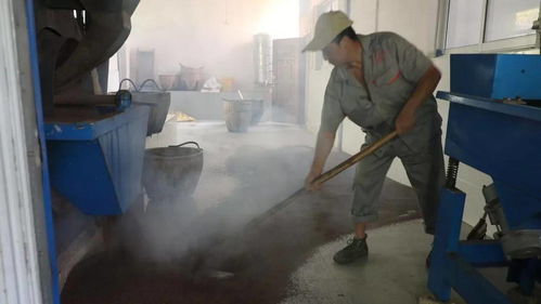 子承父業(yè)守匠心，誠(chéng)信經(jīng)營(yíng)耀非遺——池州老字號(hào)農(nóng)產(chǎn)品的傳承與新生