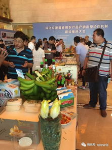 為保菜籃子，北京將建農(nóng)產(chǎn)品“場廠掛鉤”機(jī)制