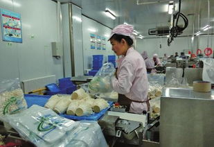 從星辰到餐桌 如何打造航天級品質(zhì)的農(nóng)產(chǎn)品