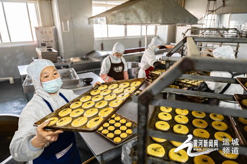 家門口就業(yè)促增收 芮城農(nóng)產(chǎn)品產(chǎn)業(yè)繪就富民新圖景