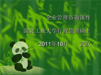 企業(yè)管理咨詢MicrosoftPowerPoint演示文稿 教程詳解.ppt